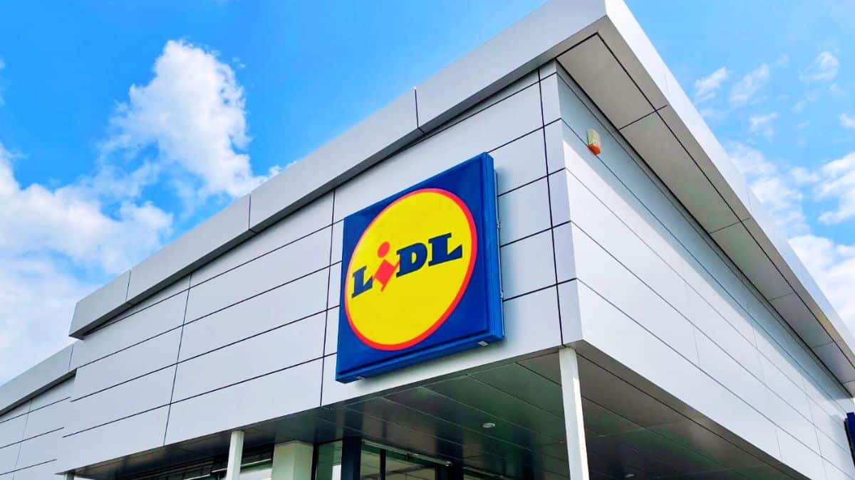 Lidl vous aide à exterminer tous les moustiques sans travaux