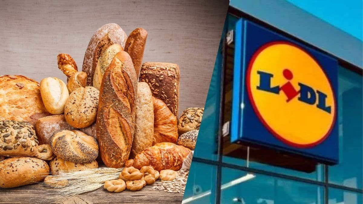 Le meilleur pain à manger chez LIDL pour la santé selon cette nutritionniste