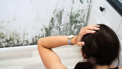 Adieu les moisissures chez vous avec ces 4 habitudes simples à adopter