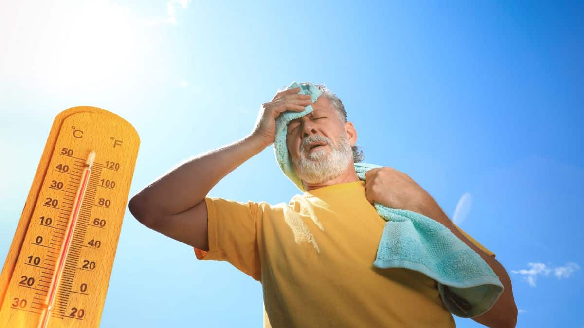 Canicule : la prochaine grosse vague de chaleur va arriver à cette date et voici sa durée
