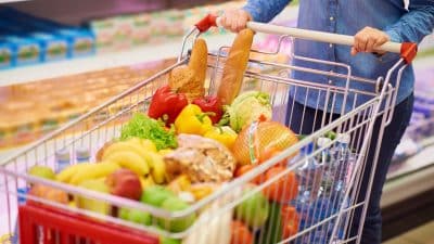 Chèque alimentaire: toutes ces conditions pour profiter de l'aide