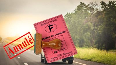 La meilleure technique pour remplacer son permis de conduire rose en version en ligne en quelques clics
