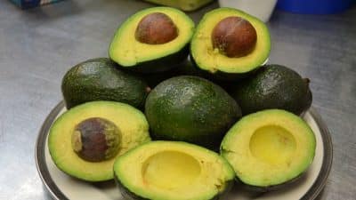 Tout savoir sur la conservation de l’avocat : astuces pratiques et conseils pour éviter qu’il noircisse trop vite