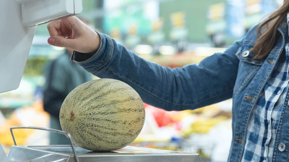 Du melon rappelé en urgence chez Leclerc, Carrefour et Intermarché