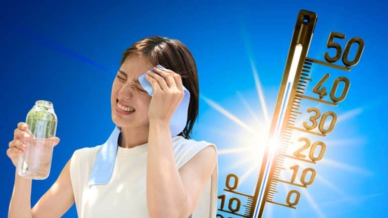 Alerte Météo en France: une troisième canicule va bientôt s'abattre sur la France ?