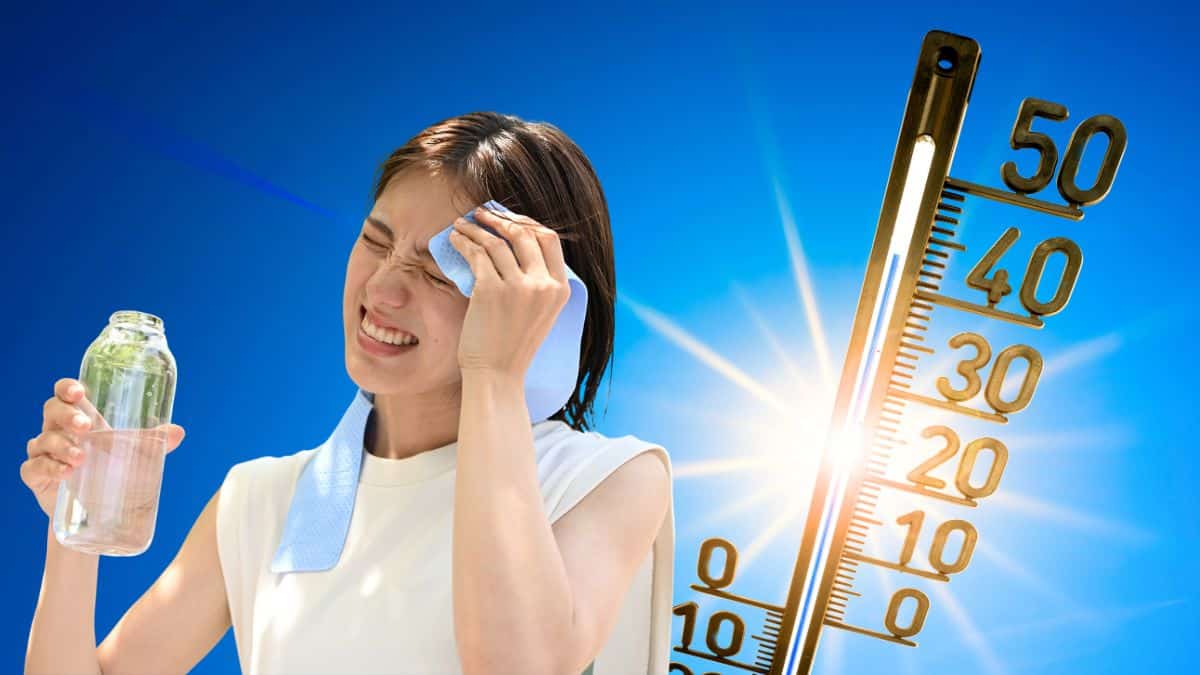 Alerte Météo en France: une troisième canicule va bientôt s'abattre sur la France ?