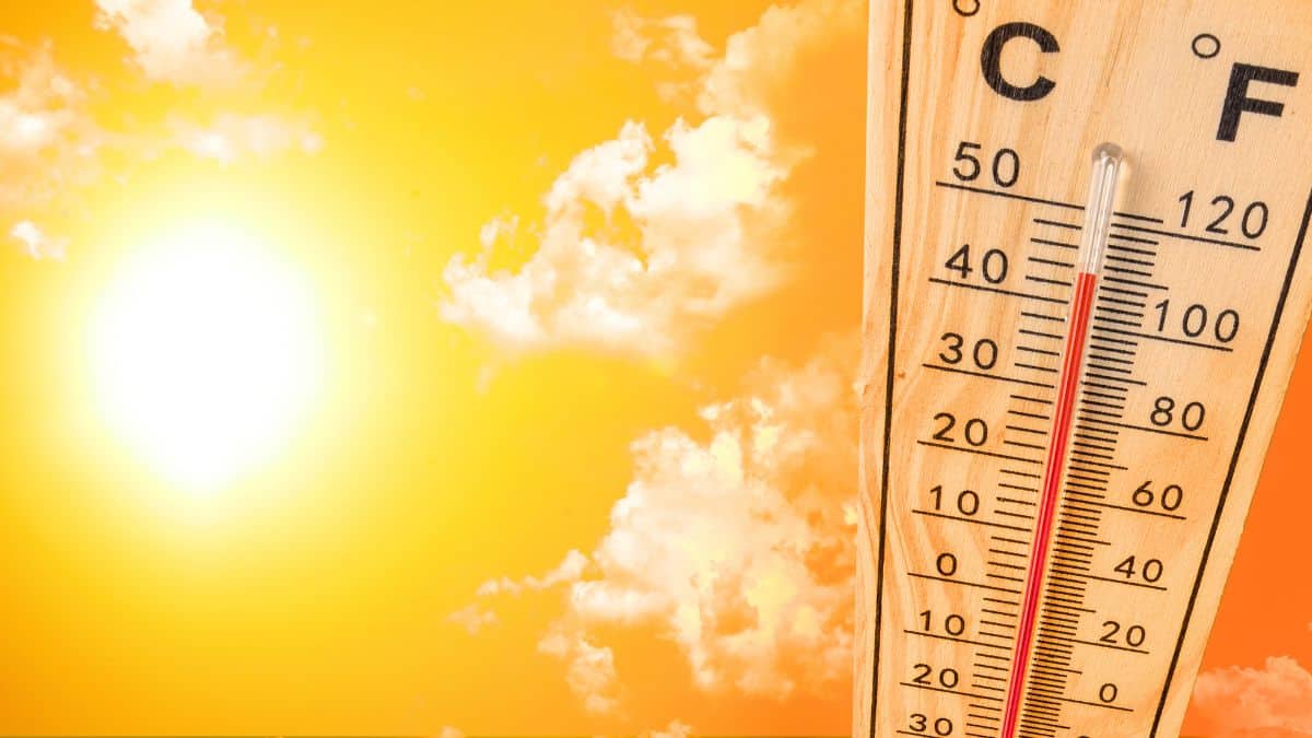 Alerte météo 14 juillet: les prévisions alarmantes avec le retour de la canicule et des températures qui explosent les records