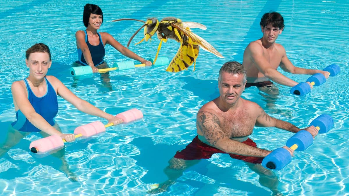 Ce geste que beaucoup font dans une piscine attire les guêpes et les énervent en été