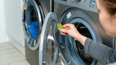 Cette astuce incroyable avec une feuille de laurier dans la machine à laver pour avoir un linge impeccable
