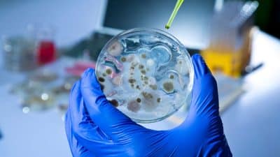 Changement climatique : L'insitut Pasteur alerte sur une nouvelle réalité sanitaire et environnementale grave