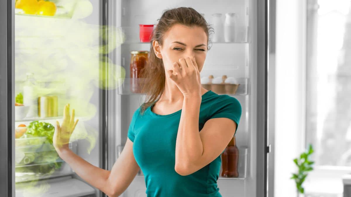 "Comment j’ai supprimé les odeurs de mon frigo avec 2 ingrédients naturels"