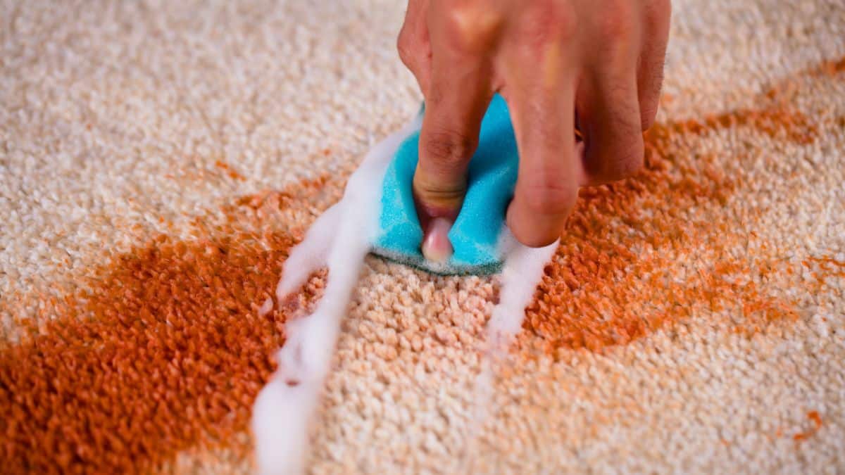 Comment nettoyer une tache de graisse rapidement ? Cette astuce maison les fait disparaître comme par magie