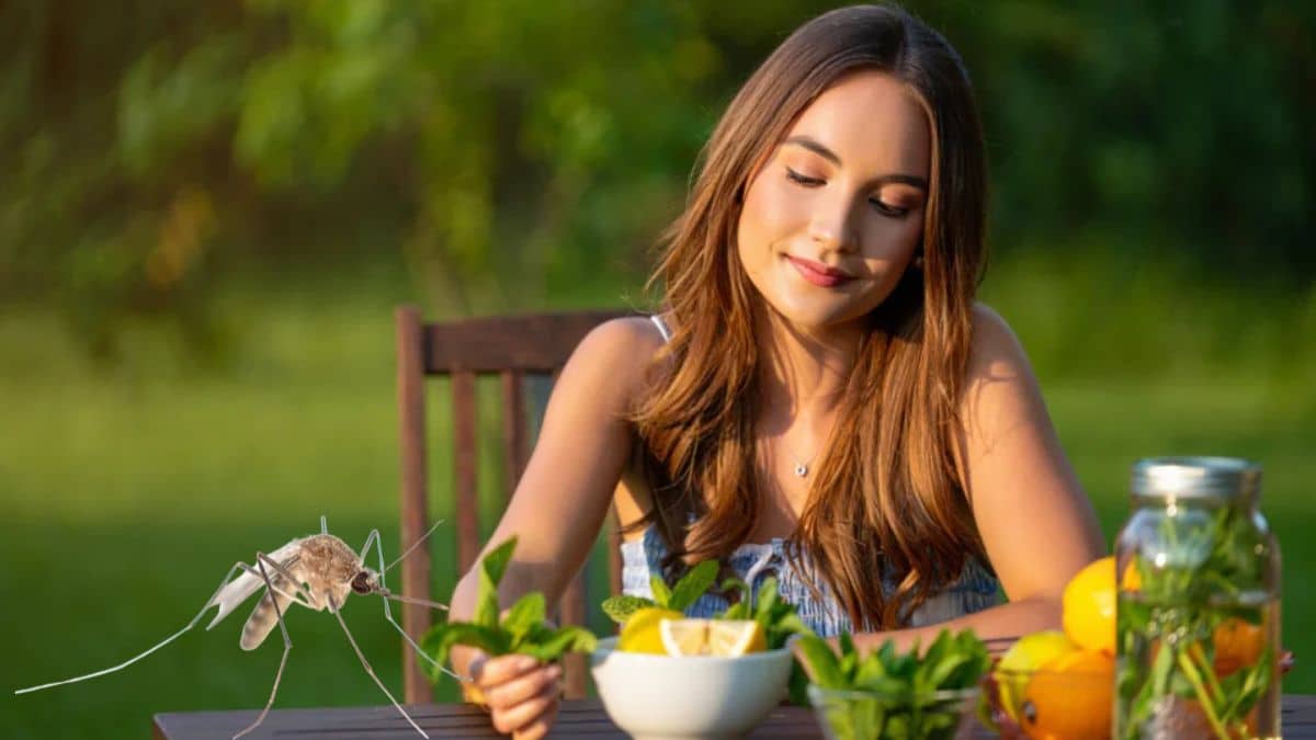 Elle ne se fait plus piquer grâce à ce secret transmis par sa grand-mère et c’est 100 % naturel