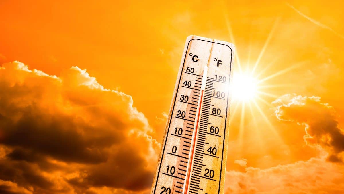 Faites baisser votre logement de 5 °C durant la canicule avec cette astuce géniale