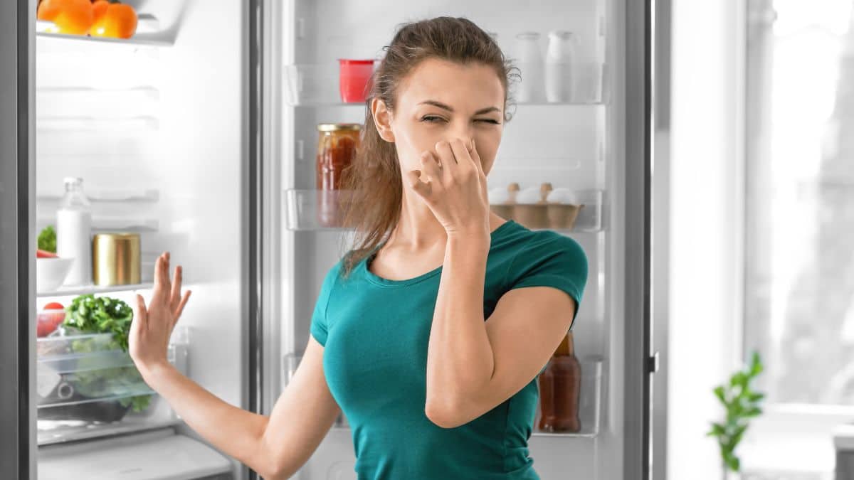 Fini les frigos qui puent, testez cette méthode express dans 3 recoins et respirez enfin