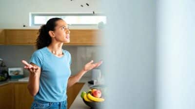 Fini les mouches à la maison, cette astuce 100 % naturelle fait le buzz et elle est ultra-efficace