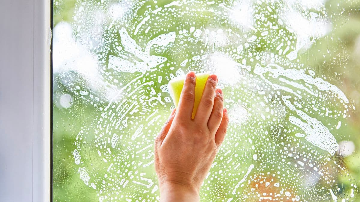 Fini les traces sur les vitres lorsque vous les nettoyez: cette astuce toute simple qui change tout