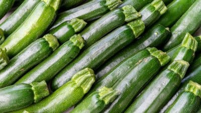 La meilleure technique pour une récolte XXL des courgettes dans votre potager même pendant la canicule