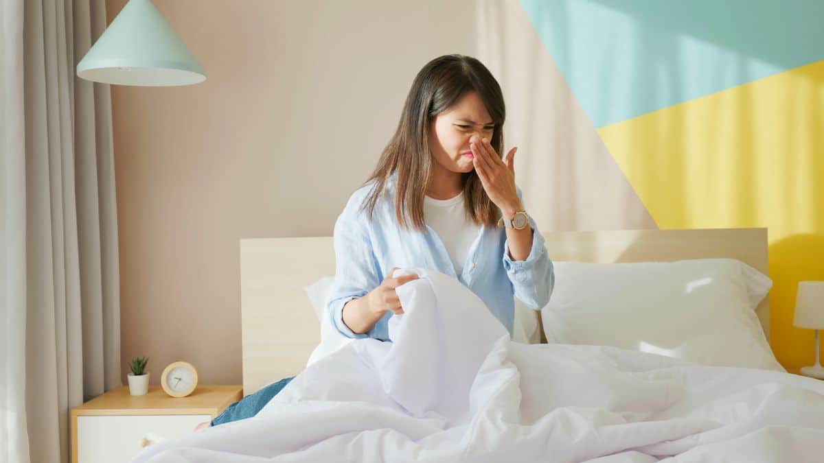 L’air de votre chambre est plus pollué que vous ne le pensez et voici comment y remédier naturellement