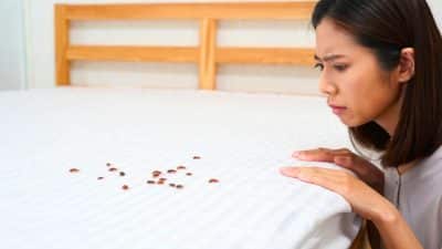 Les puces de lit ont envahi son appartement après cette grosse erreur pour faire quelques euros d'économie