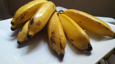 Vous ne lavez jamais vos bananes en rentrant des courses ? Cet expert va vous faire changer d’habitudes et vite