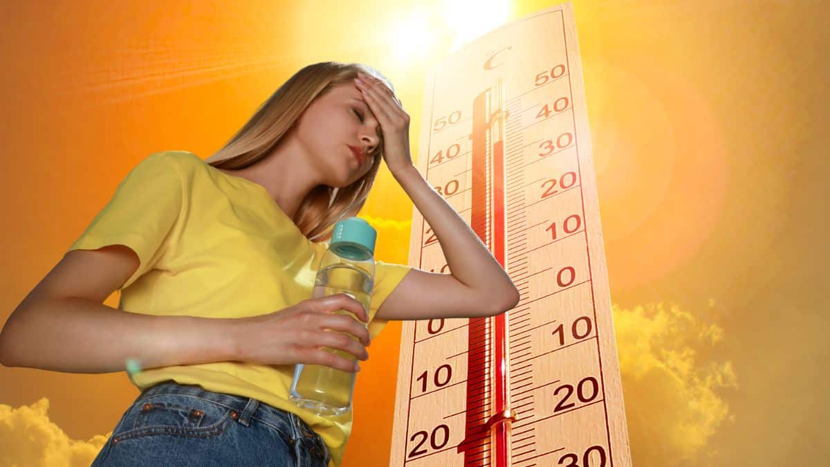 36 °C prévus : mauvaise nouvelle Météo-France annonce une nouvelle vague de canicule cette semaine
