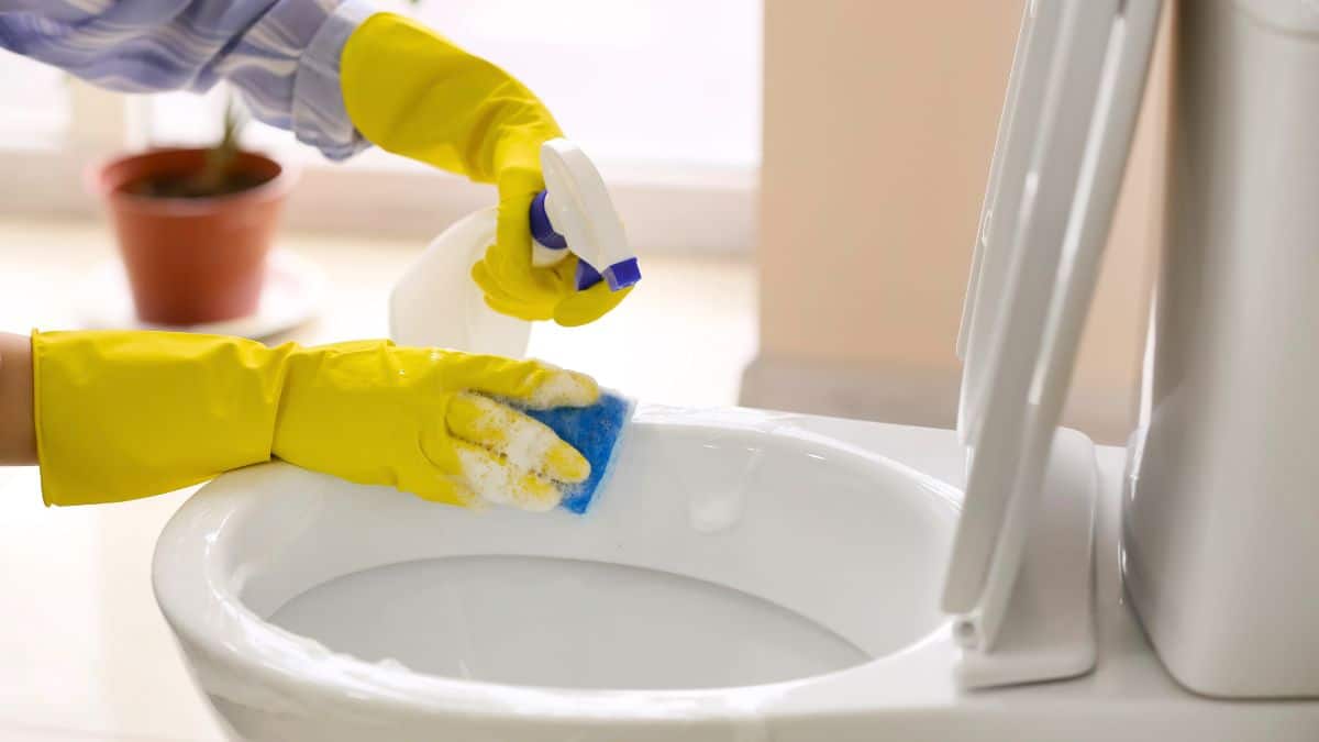 Du vinaigre et un rouleau de papier toilette : le combo improbable qui fait des miracles dans vos WC