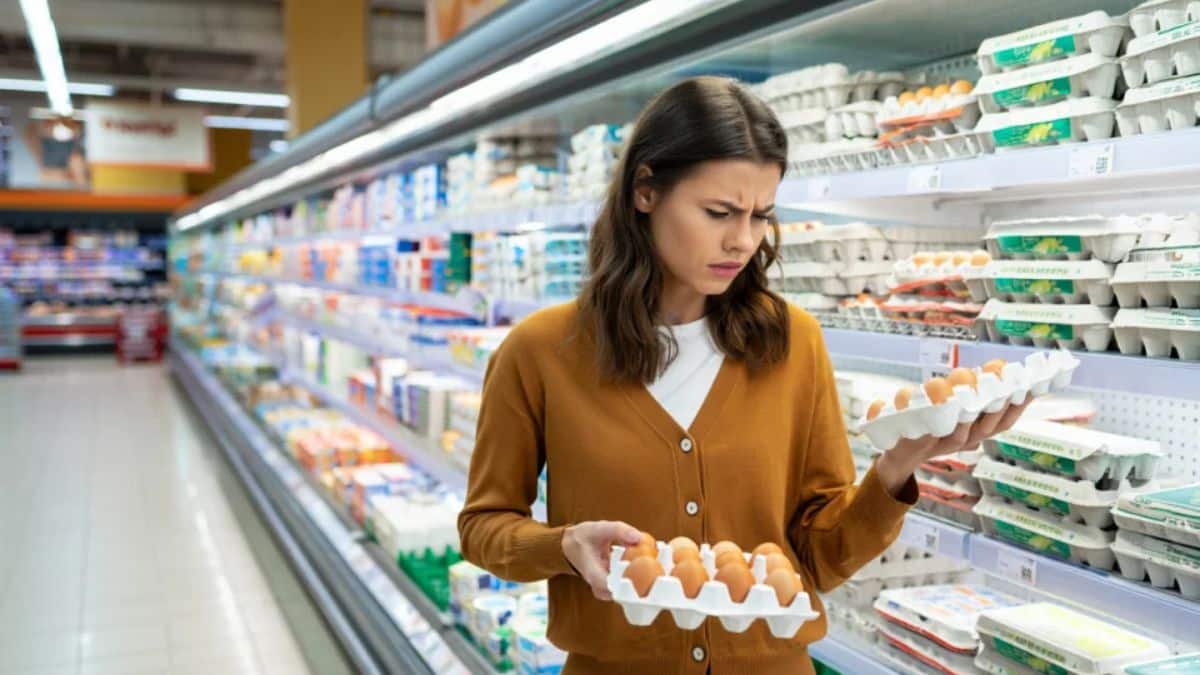 Rappel urgent: des œufs Auchan, Leclerc, Carrefour, Intermarché contaminés à la salmonelle
