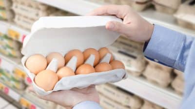 Vous avez acheté des œufs chez Auchan, Carrefour ou Leclerc ? Rappel d’urgence pour suspicion de salmonelles
