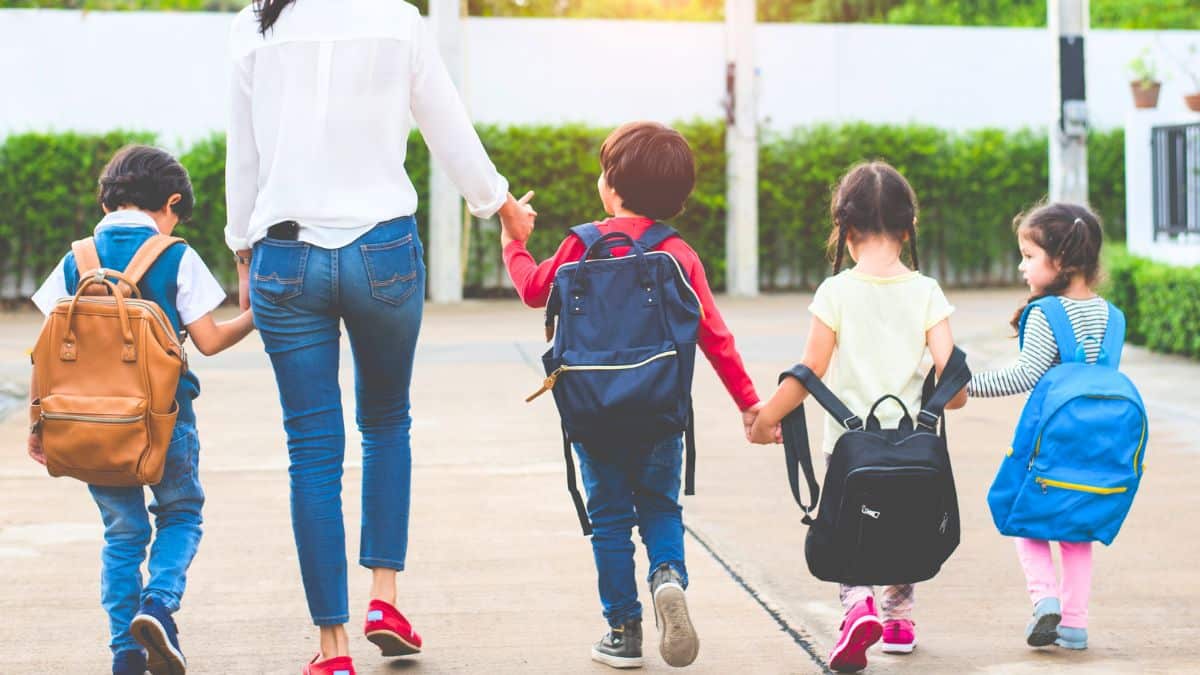 Allocation de rentrée scolaire (ARS) : barèmes et calendrier