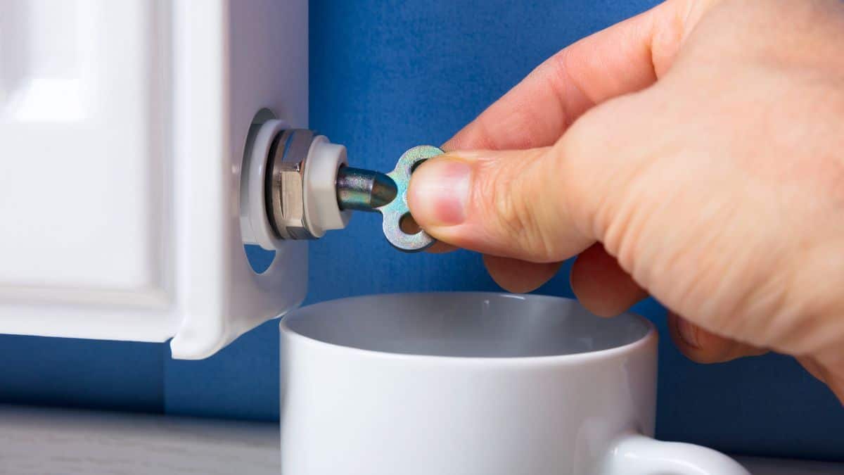 Radiateurs : purger en 3 étapes pour gagner en confort