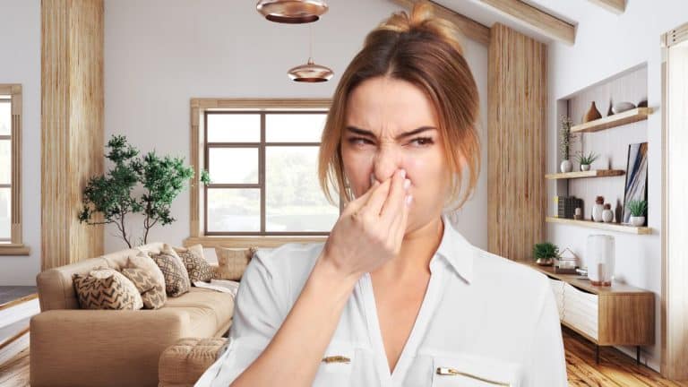 Respirez enfin chez vous : ce mélange naturel efface l’odeur de tabac pour de bon