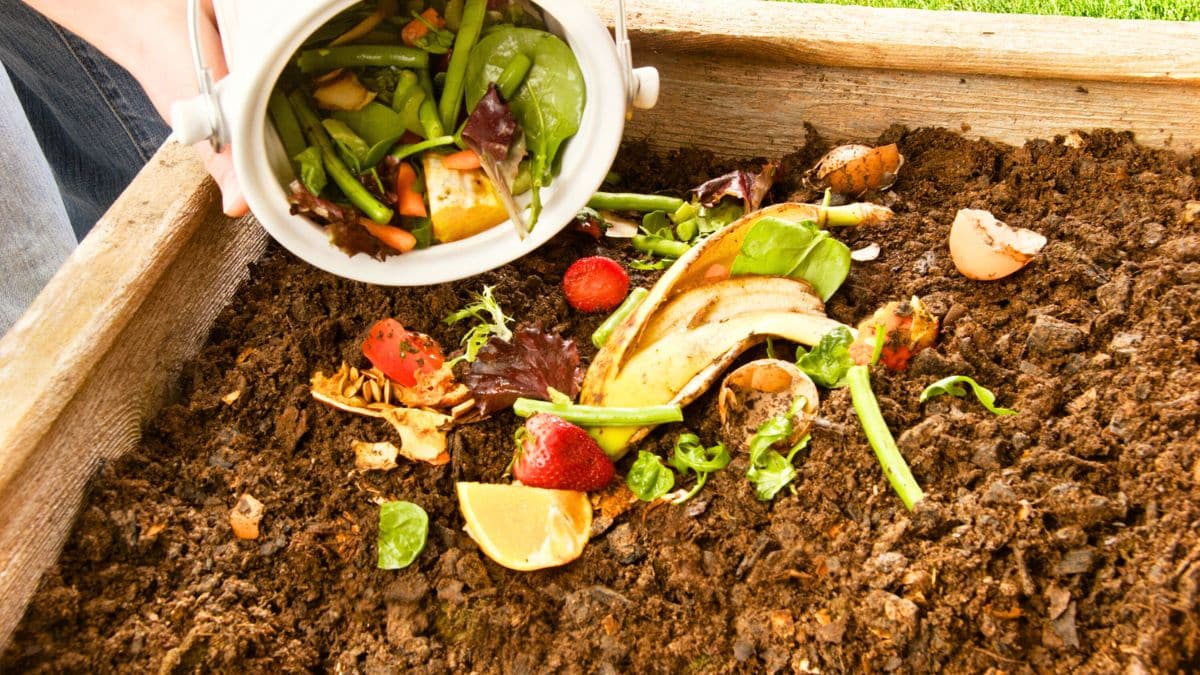 Compost : pourquoi il sent fort et l’astuce pour retrouver une odeur agréable