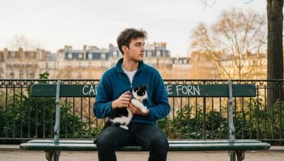 chats - Vols de chats : 5 gestes pour protéger votre félin si vous vivez dans ces 3 régions françaises