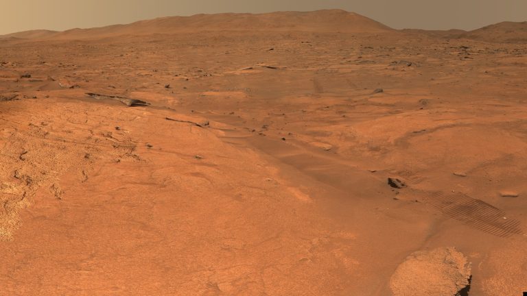Étendue rocheuse et sableuse de couleur ocre sur Mars, avec des traces de roues au premier plan et un relief bas à l’horizon
