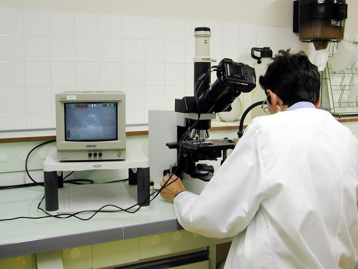 Personne en blouse blanche observant un échantillon au microscope relié à une caméra et à un écran, dans un laboratoire carrelé