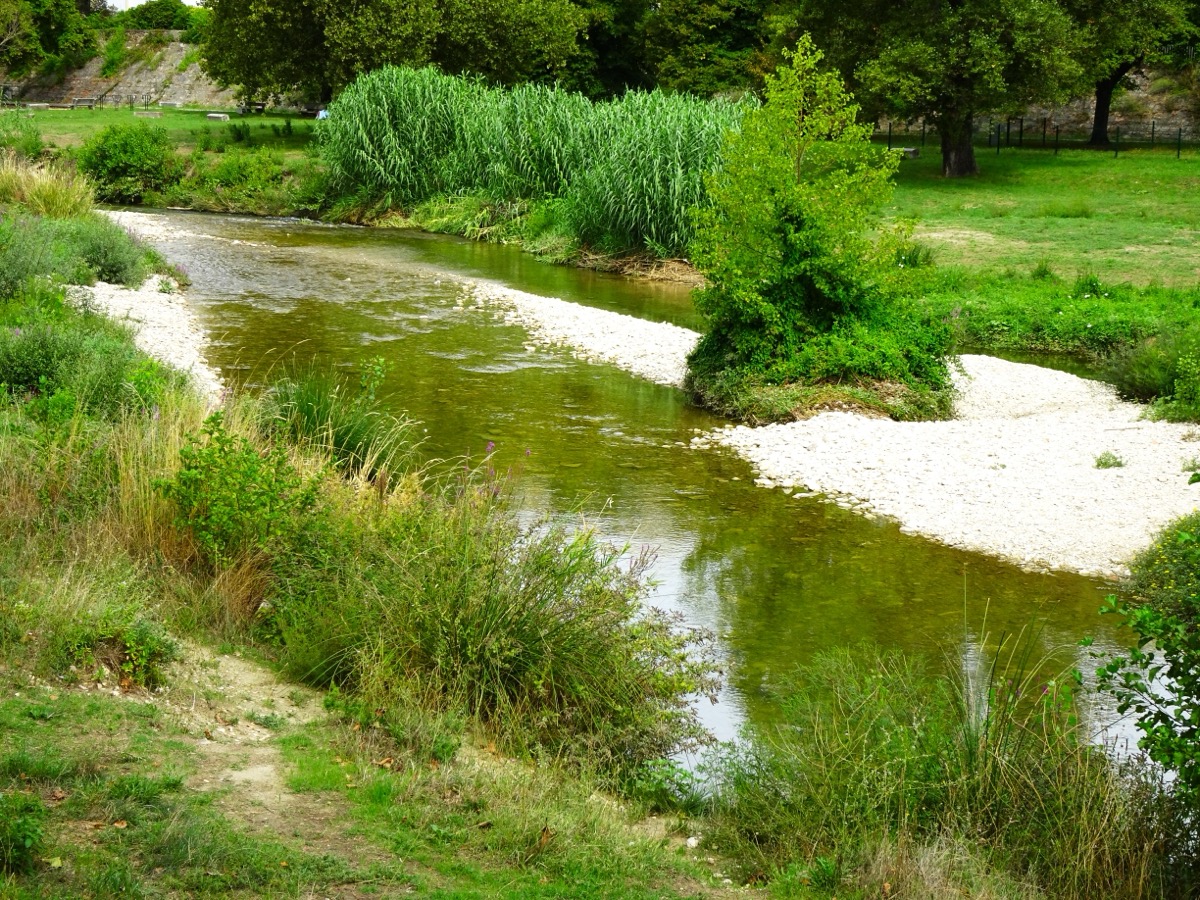 Filet d'eau peu profond serpentant entre de larges bancs de galets blancs découverts, bordés de roseaux, d'arbustes et de pelouses, à la confluence de deux rivières à Montélimar