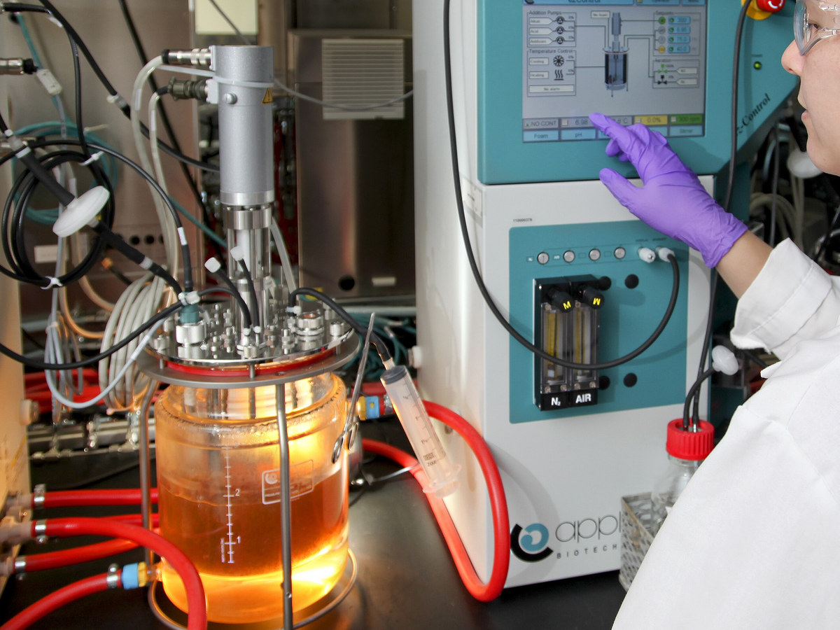 Fermenteur de laboratoire de trois litres au bouillon orange, relié à une armoire de contrôle que règle une opératrice gantée