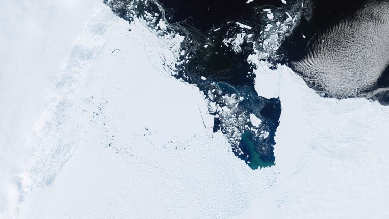 Vue satellite du glacier Thwaites en Antarctique : la glace blanche du continent borde une mer sombre parsemée d'icebergs et de glace brisée