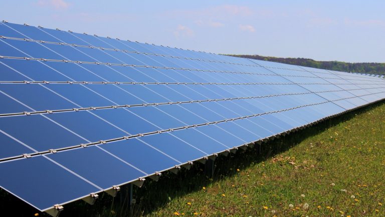 Longue rangée de panneaux photovoltaïques inclinés dans une prairie fleurie, sous un ciel bleu, avec une forêt à l'horizon
