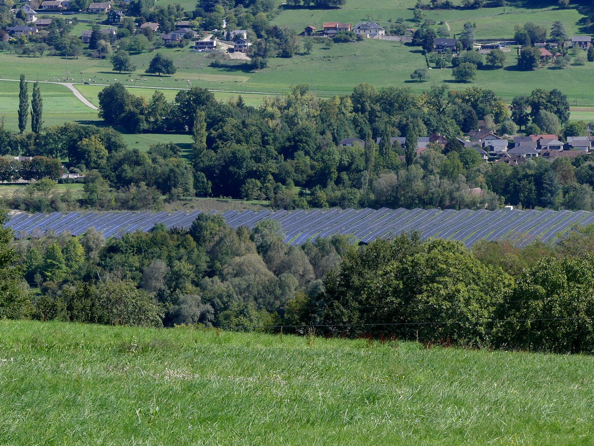 Longues rangées de panneaux photovoltaïques alignées dans une plaine bordée de bois et de maisons, vues depuis une colline herbeuse