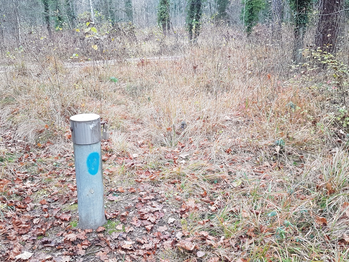 Tube métallique gris marqué d'un point bleu, planté dans l'herbe sèche et les feuilles mortes en lisière de forêt