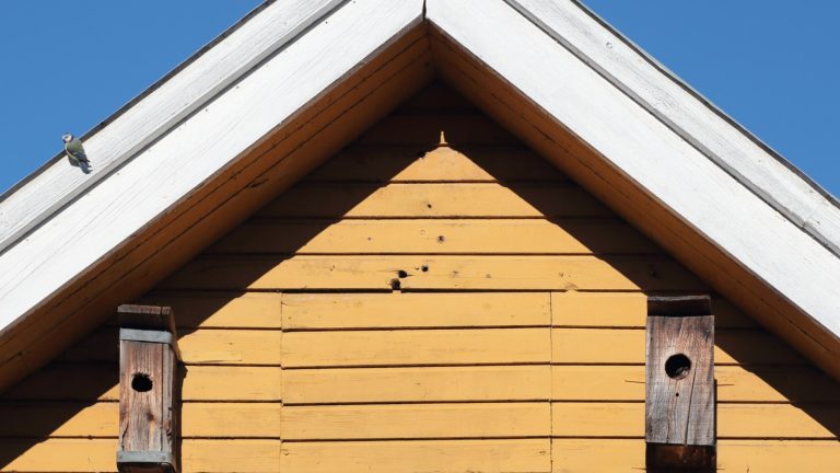 Deux nichoirs en bois fixés sur le pignon jaune d'une maison, sous un toit blanc, une mésange bleue posée sur le bord du toit