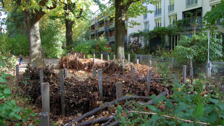 Plusieurs tas de feuilles mortes délimités par des piquets de bois, au pied de grands arbres, dans un jardin collectif bordé d'immeubles