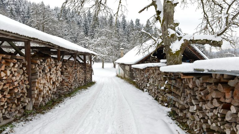 Chemin enneigé bordé de deux longs abris en bois couverts de neige, remplis de bûches fendues empilées jusqu'au toit, devant une forêt de sapins blanchie par le givre