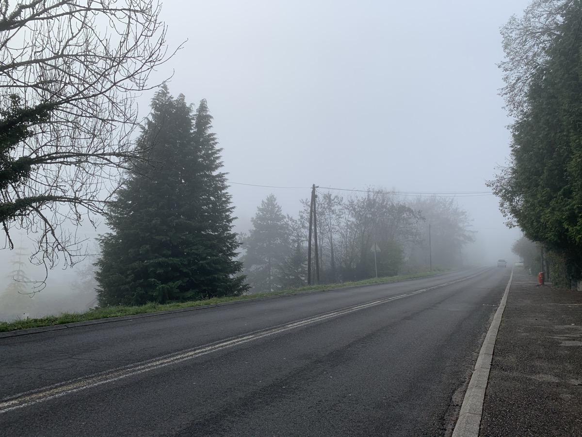 Route départementale bordée d'arbres dans un brouillard matinal, un véhicule à peine visible au loin