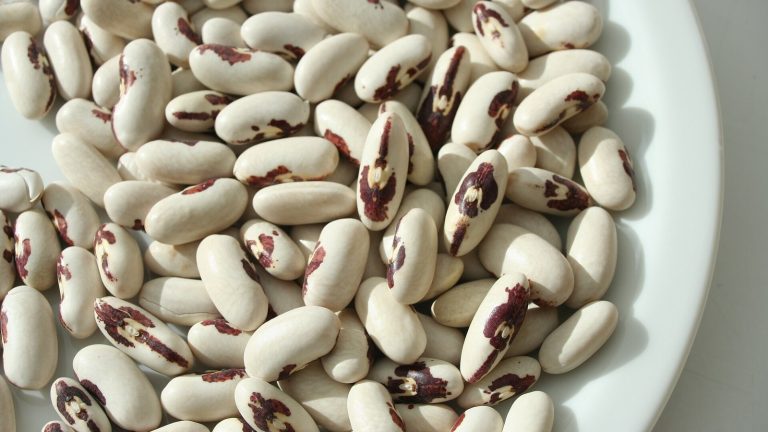 Graines de haricot blanches marbrées de rouge foncé, étalées en couche unique sur une assiette blanche