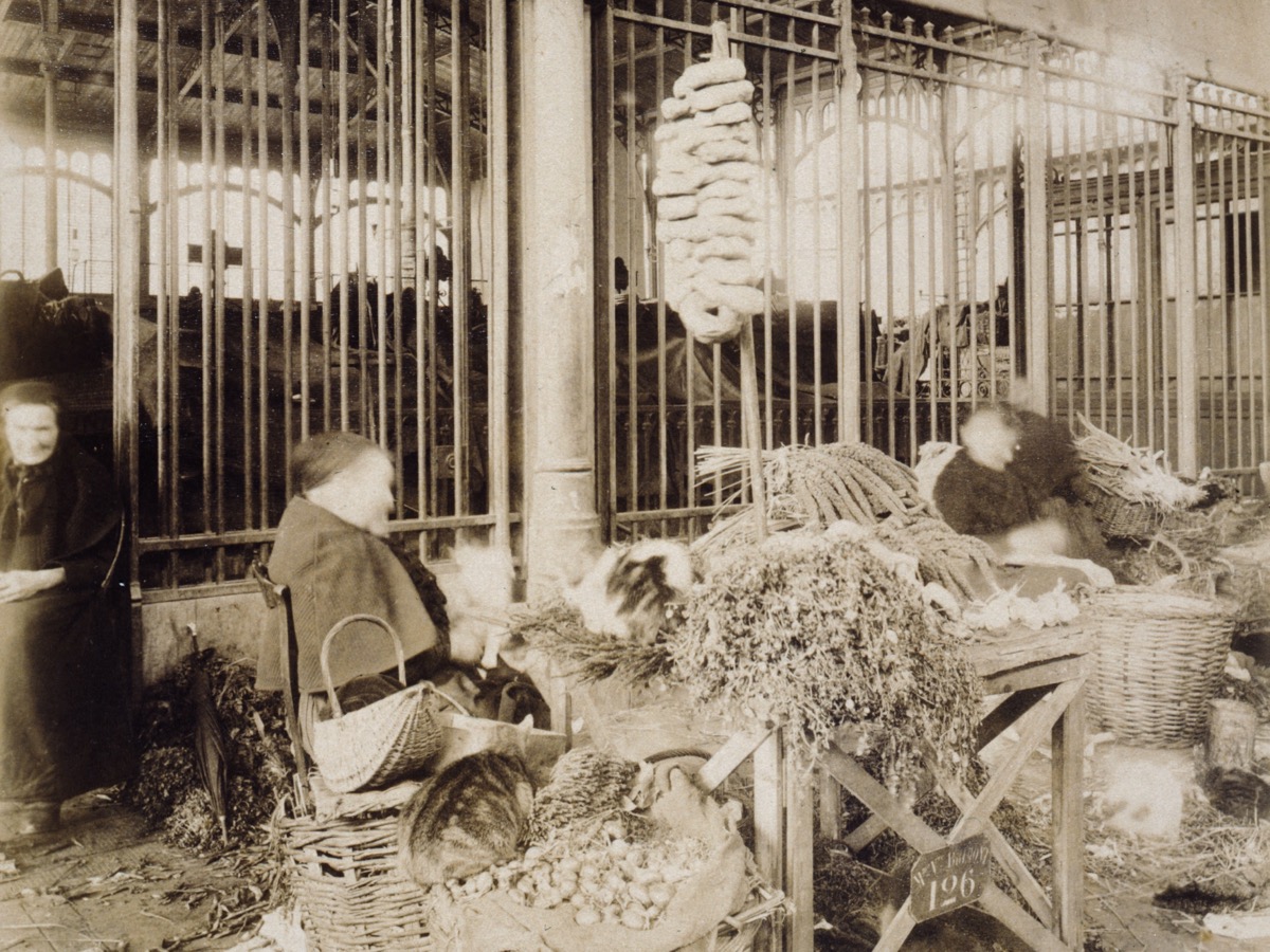 Sous la charpente métallique d'un pavillon des Halles, des marchandes assises près de paniers d'osier remplis d'oignons et de bottes d'herbes posées à même le sol