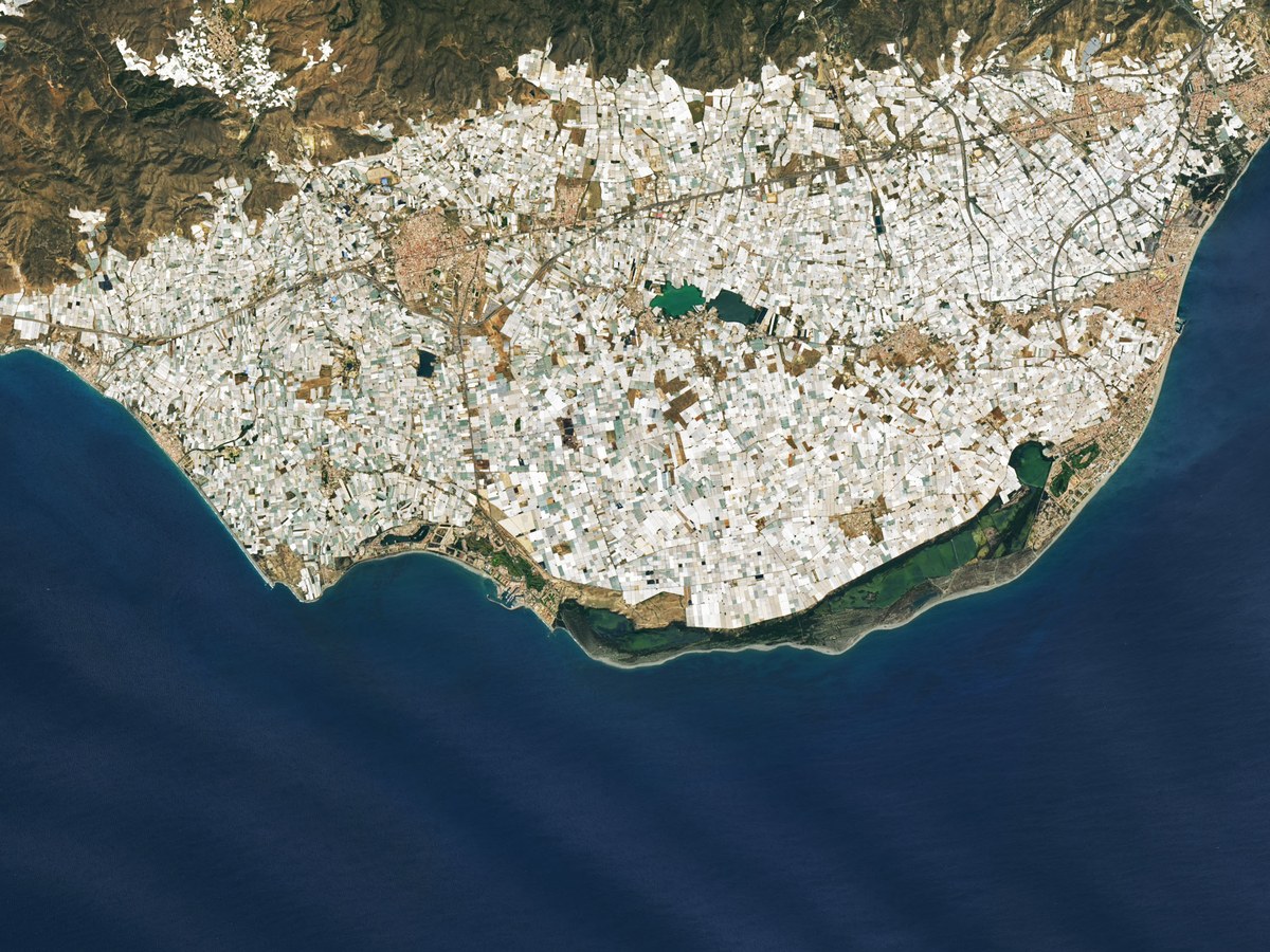 Gros plan satellite sur les serres du Campo de Dalías autour d'El Ejido, une mosaïque de parcelles blanches jusqu'à la mer