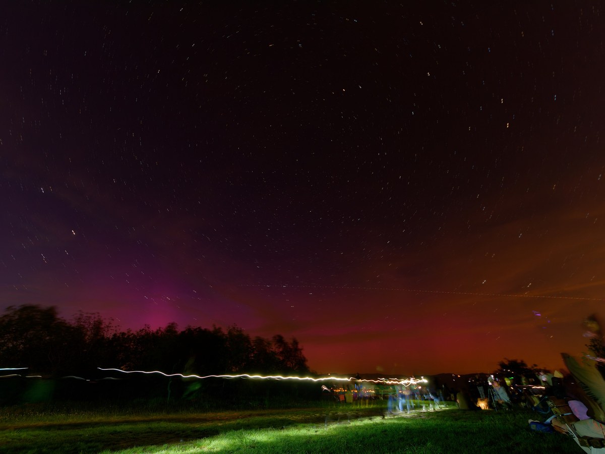Lueur aurorale rouge et violette au-dessus d'une ligne d'arbres au sommet du Salbert, à Belfort